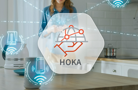 Hoka HTTP Web Server for Embedded Systems